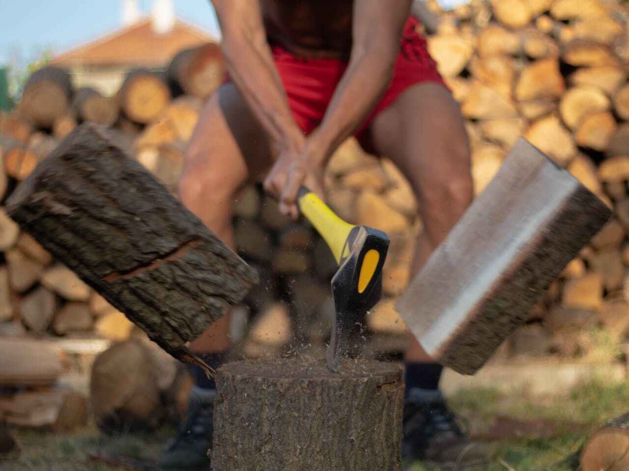 Best Palm Tree Trimming  in Yuma, CO